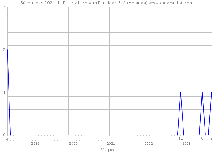 Búsquedas 2024 de Peter Akerboom Pensioen B.V. (Holanda) 