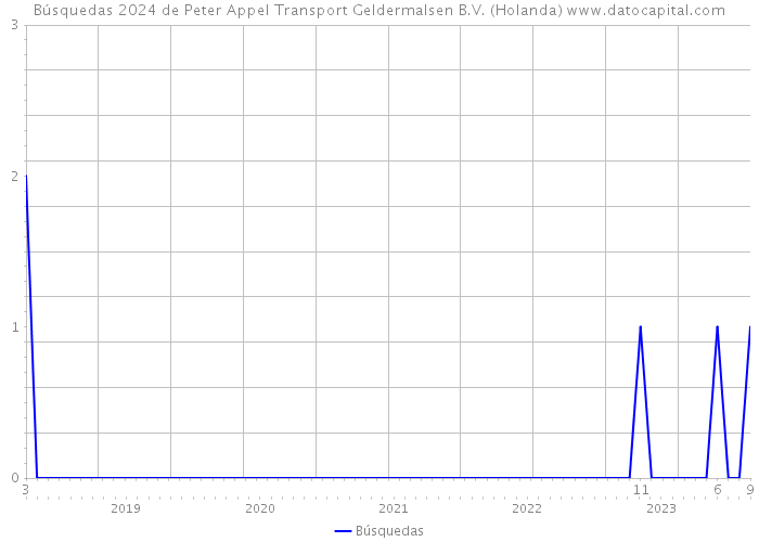 Búsquedas 2024 de Peter Appel Transport Geldermalsen B.V. (Holanda) 
