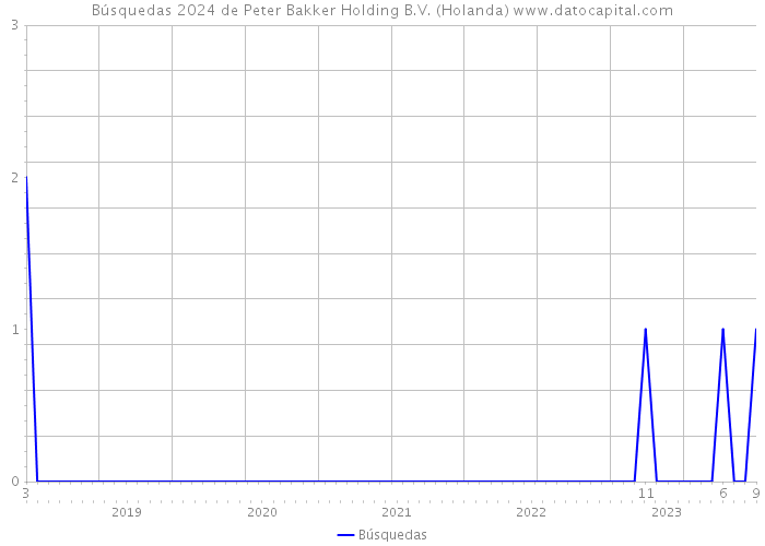 Búsquedas 2024 de Peter Bakker Holding B.V. (Holanda) 