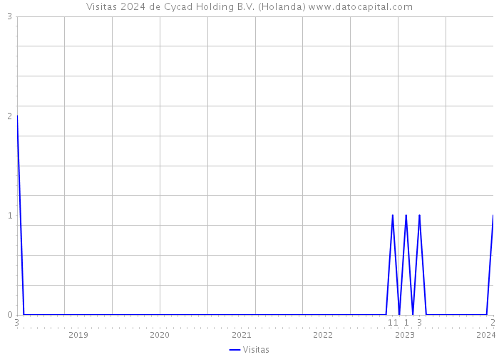 Visitas 2024 de Cycad Holding B.V. (Holanda) 