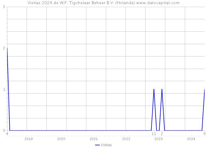 Visitas 2024 de W.F. Tigchelaar Beheer B.V. (Holanda) 