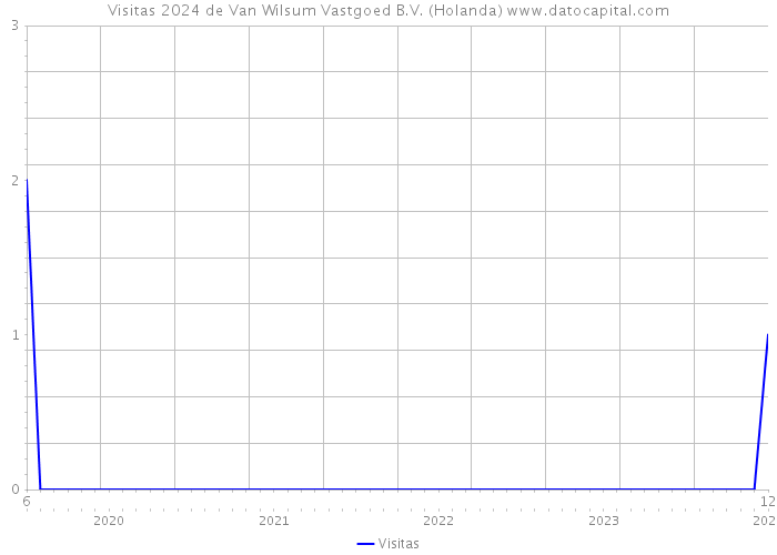Visitas 2024 de Van Wilsum Vastgoed B.V. (Holanda) 