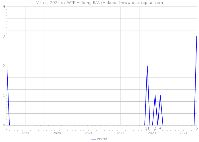 Visitas 2024 de W2P Holding B.V. (Holanda) 