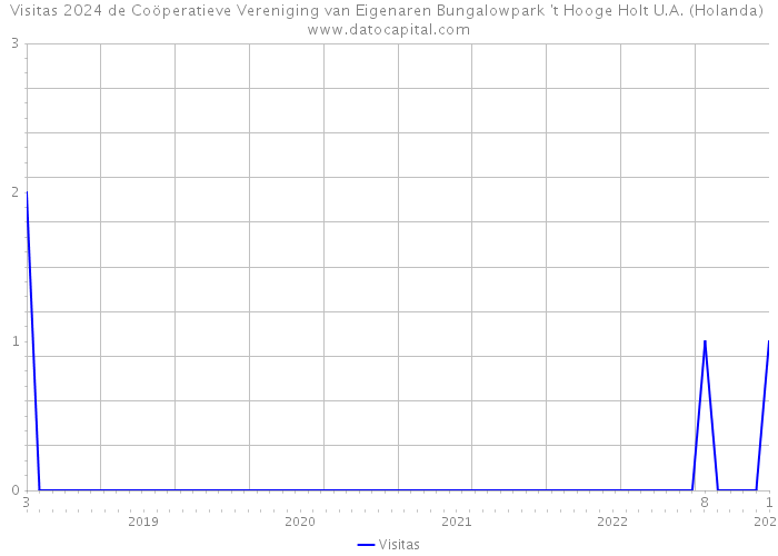 Visitas 2024 de Coöperatieve Vereniging van Eigenaren Bungalowpark 't Hooge Holt U.A. (Holanda) 