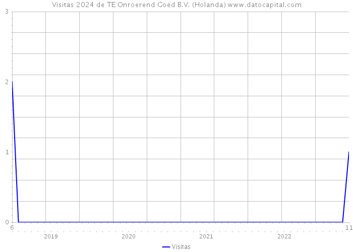 Visitas 2024 de TE Onroerend Goed B.V. (Holanda) 