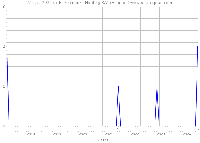 Visitas 2024 de Blankenburg Holding B.V. (Holanda) 
