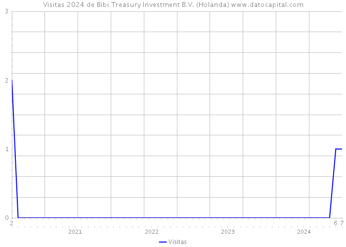 Visitas 2024 de Bibi Treasury Investment B.V. (Holanda) 