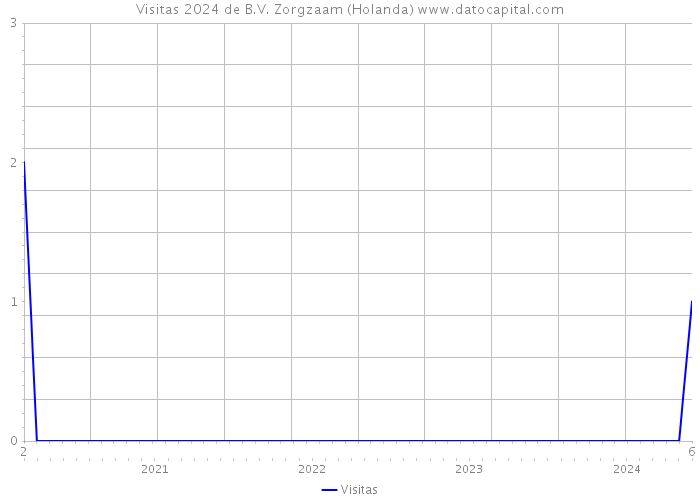 Visitas 2024 de B.V. Zorgzaam (Holanda) 