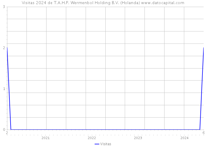 Visitas 2024 de T.A.H.P. Wermenbol Holding B.V. (Holanda) 