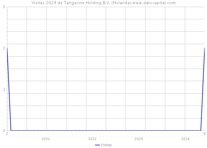Visitas 2024 de Tangerine Holding B.V. (Holanda) 