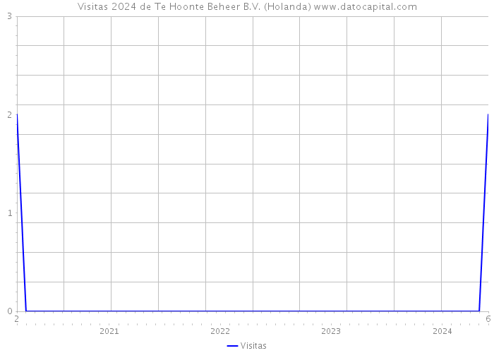 Visitas 2024 de Te Hoonte Beheer B.V. (Holanda) 