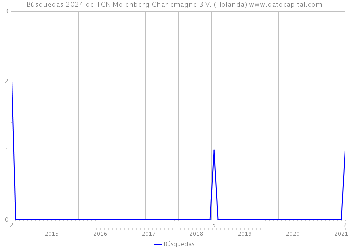 Búsquedas 2024 de TCN Molenberg Charlemagne B.V. (Holanda) 