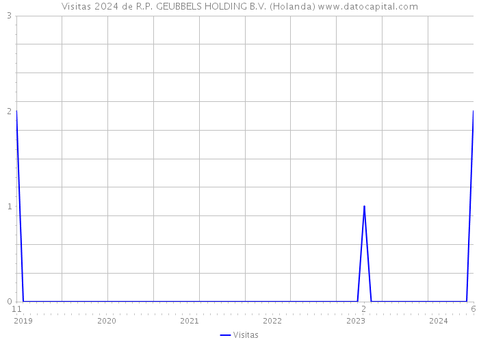 Visitas 2024 de R.P. GEUBBELS HOLDING B.V. (Holanda) 