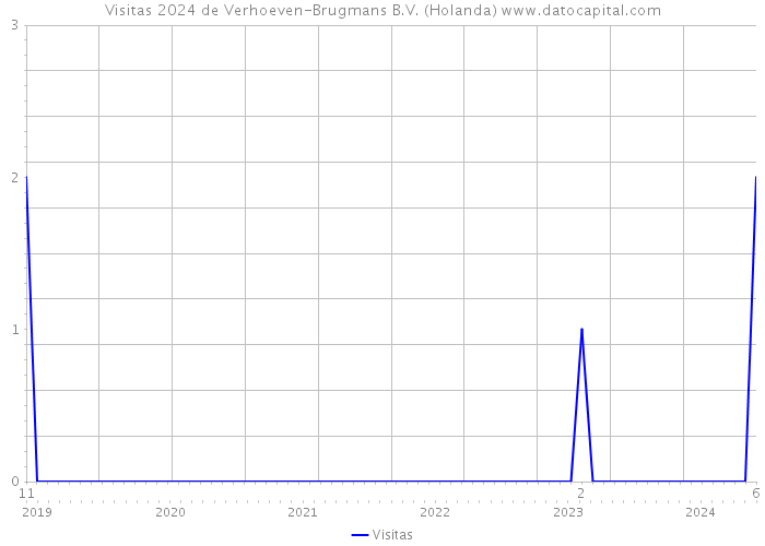 Visitas 2024 de Verhoeven-Brugmans B.V. (Holanda) 