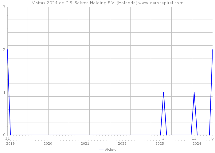 Visitas 2024 de G.B. Bokma Holding B.V. (Holanda) 