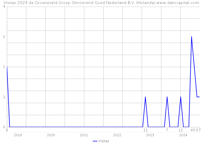 Visitas 2024 de Groeneveld Groep Onroerend Goed Nederland B.V. (Holanda) 