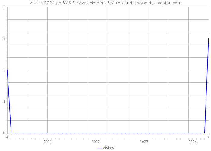 Visitas 2024 de BMS Services Holding B.V. (Holanda) 