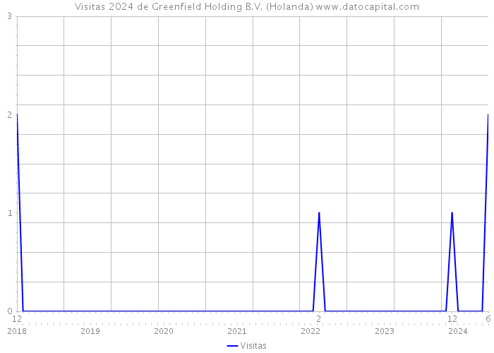 Visitas 2024 de Greenfield Holding B.V. (Holanda) 