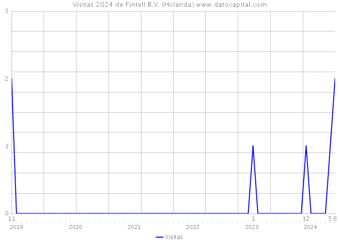 Visitas 2024 de Fintell B.V. (Holanda) 