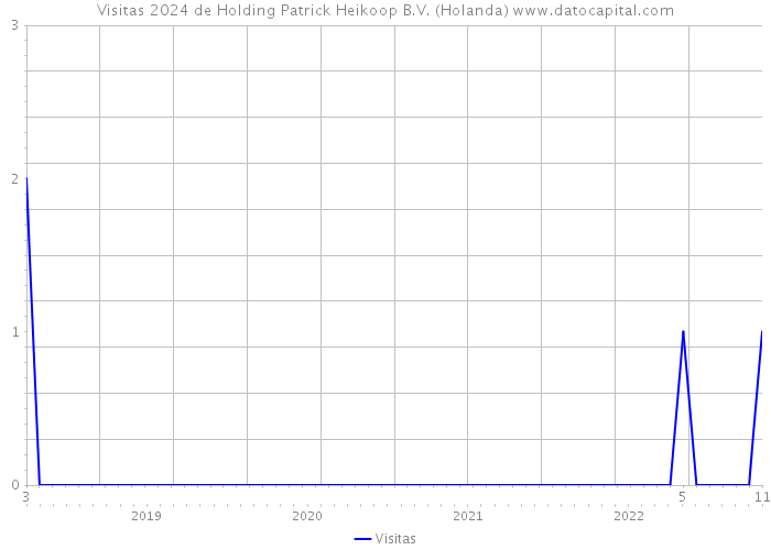 Visitas 2024 de Holding Patrick Heikoop B.V. (Holanda) 