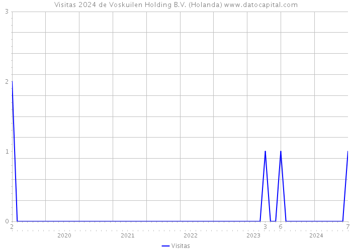 Visitas 2024 de Voskuilen Holding B.V. (Holanda) 