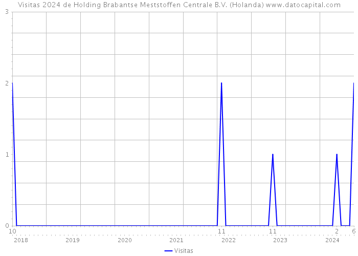 Visitas 2024 de Holding Brabantse Meststoffen Centrale B.V. (Holanda) 