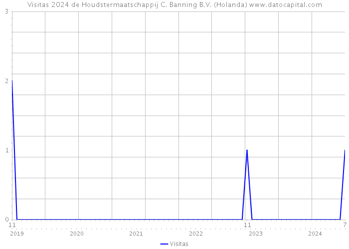 Visitas 2024 de Houdstermaatschappij C. Banning B.V. (Holanda) 