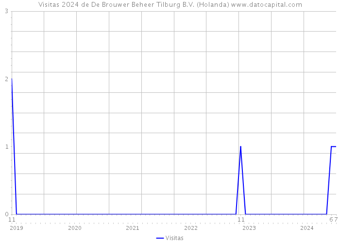 Visitas 2024 de De Brouwer Beheer Tilburg B.V. (Holanda) 