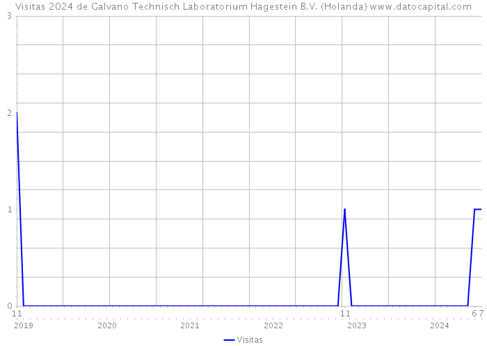 Visitas 2024 de Galvano Technisch Laboratorium Hagestein B.V. (Holanda) 