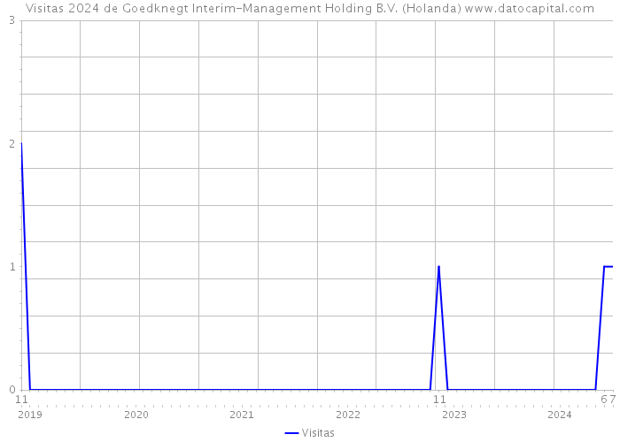 Visitas 2024 de Goedknegt Interim-Management Holding B.V. (Holanda) 