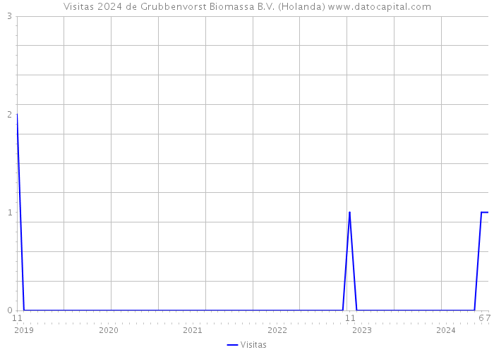 Visitas 2024 de Grubbenvorst Biomassa B.V. (Holanda) 