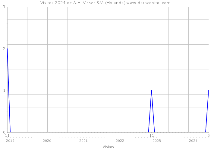 Visitas 2024 de A.H. Visser B.V. (Holanda) 