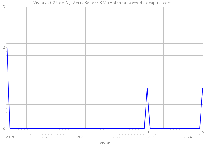 Visitas 2024 de A.J. Aerts Beheer B.V. (Holanda) 