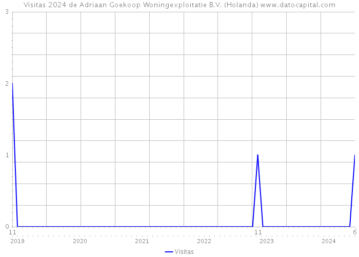 Visitas 2024 de Adriaan Goekoop Woningexploitatie B.V. (Holanda) 