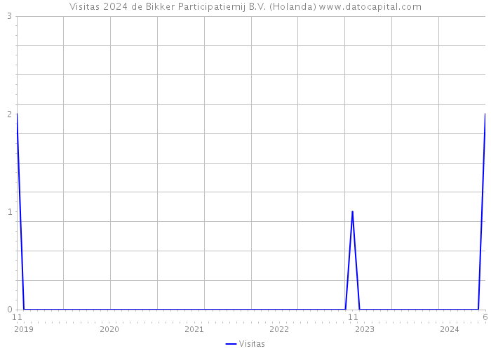 Visitas 2024 de Bikker Participatiemij B.V. (Holanda) 
