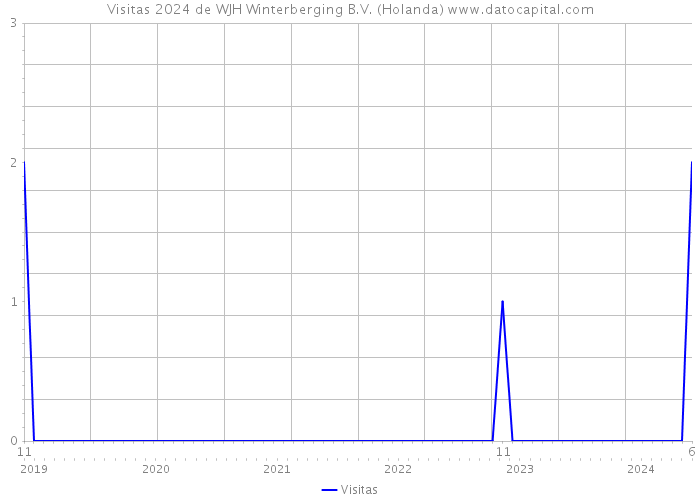 Visitas 2024 de WJH Winterberging B.V. (Holanda) 