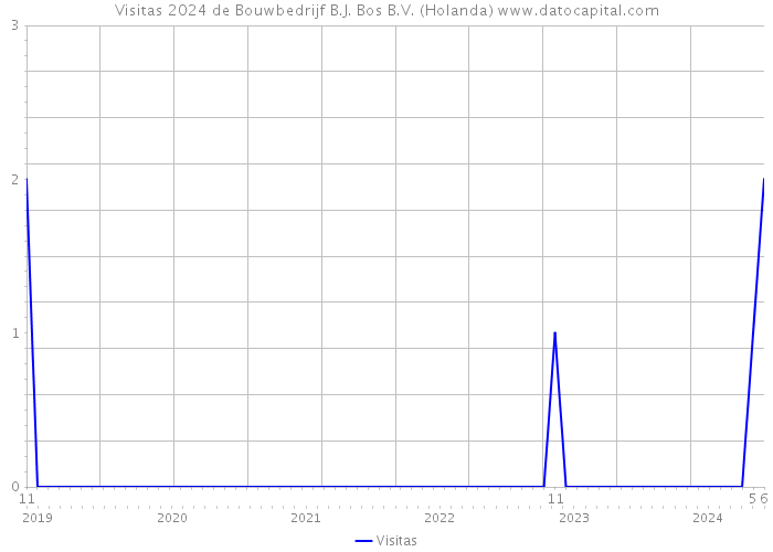 Visitas 2024 de Bouwbedrijf B.J. Bos B.V. (Holanda) 