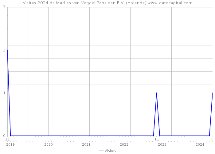 Visitas 2024 de Marlies van Veggel Pensioen B.V. (Holanda) 