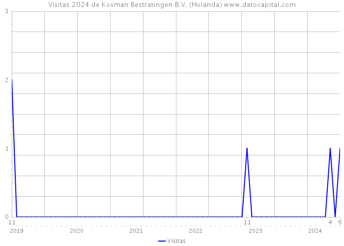 Visitas 2024 de Kosman Bestratingen B.V. (Holanda) 