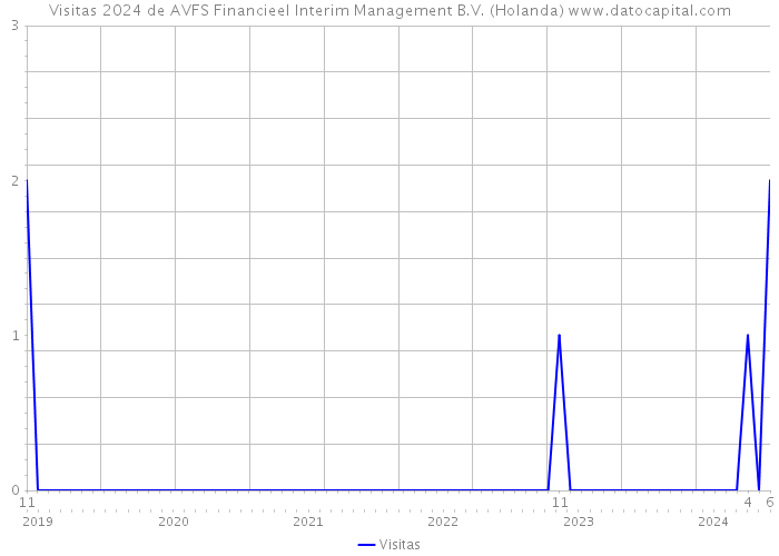 Visitas 2024 de AVFS Financieel Interim Management B.V. (Holanda) 