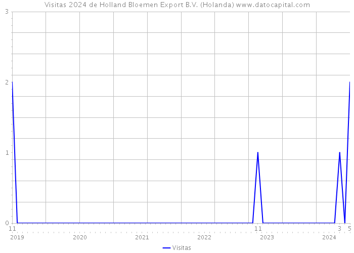 Visitas 2024 de Holland Bloemen Export B.V. (Holanda) 