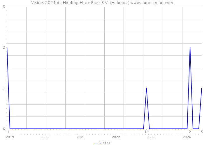 Visitas 2024 de Holding H. de Boer B.V. (Holanda) 