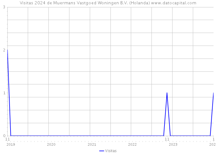 Visitas 2024 de Muermans Vastgoed Woningen B.V. (Holanda) 