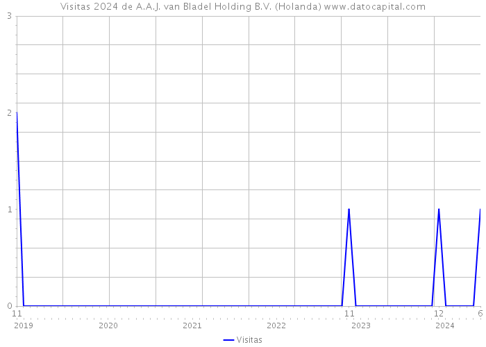 Visitas 2024 de A.A.J. van Bladel Holding B.V. (Holanda) 