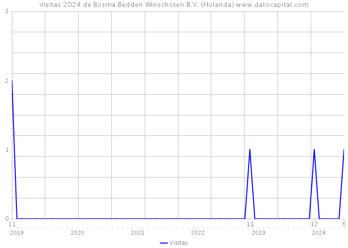Visitas 2024 de Bosma Bedden Winschoten B.V. (Holanda) 