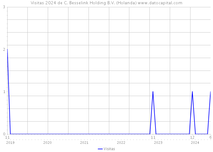 Visitas 2024 de C. Besselink Holding B.V. (Holanda) 