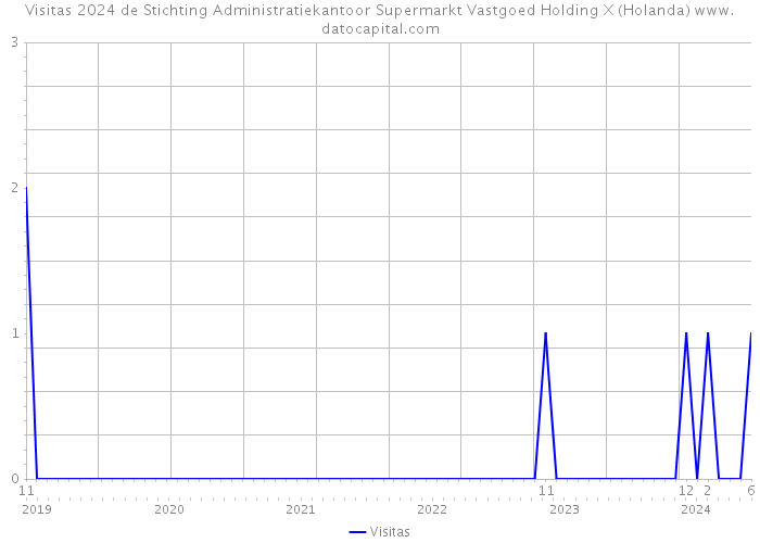 Visitas 2024 de Stichting Administratiekantoor Supermarkt Vastgoed Holding X (Holanda) 