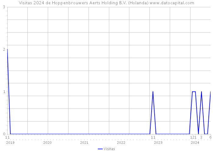 Visitas 2024 de Hoppenbrouwers Aerts Holding B.V. (Holanda) 