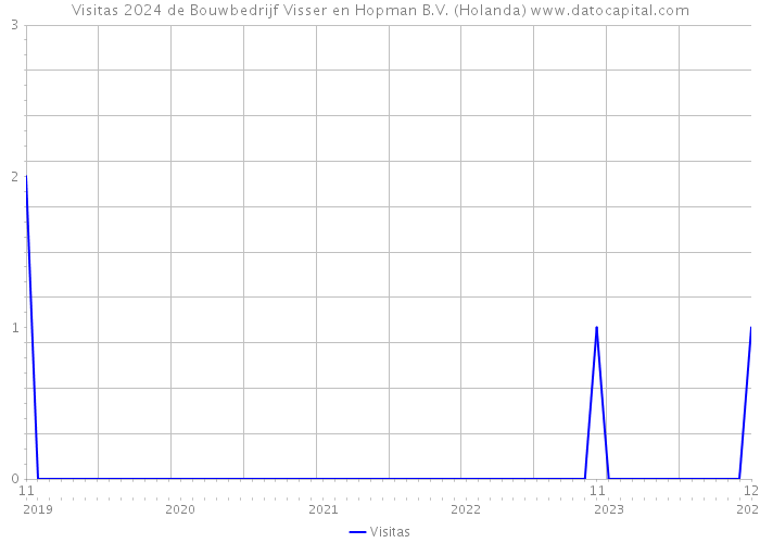 Visitas 2024 de Bouwbedrijf Visser en Hopman B.V. (Holanda) 