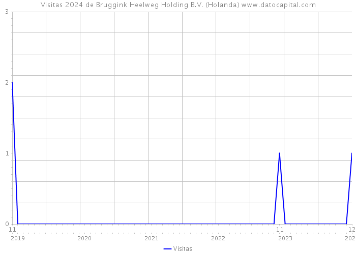 Visitas 2024 de Bruggink Heelweg Holding B.V. (Holanda) 